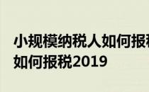 小规模纳税人如何报税2019年 小规模纳税人如何报税2019
