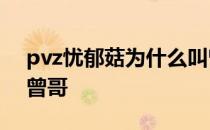 pvz忧郁菇为什么叫曾哥 忧郁蘑菇为什么叫曾哥