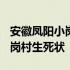 安徽凤阳小岗村的故事在哪一年? 安徽凤阳小岗村生死状
