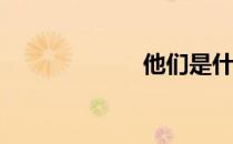 他们是什么意思？
