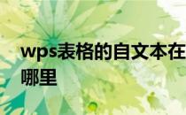 wps表格的自文本在哪里 wps数据自文本在哪里