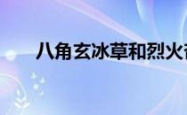 八角玄冰草和烈火杏娇疏 八角玄冰草
