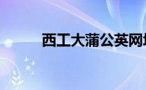 西工大蒲公英网址 西工大蒲公英