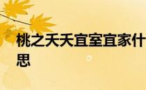 桃之夭夭宜室宜家什么意思 宜室宜家什么意思