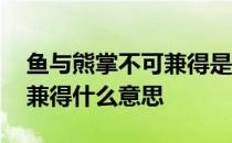 鱼与熊掌不可兼得是什么意思 鱼和熊掌不可兼得什么意思