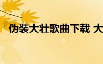伪装大壮歌曲下载 大壮伪装mp3免费下载