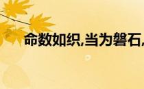 命数如织,当为磐石,心如铁石,气若风云
