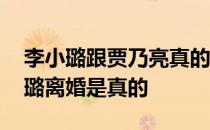 李小璐跟贾乃亮真的离婚了吗 贾乃亮和李小璐离婚是真的