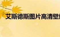 艾斯德斯图片高清壁纸 艾斯德斯高清壁纸