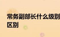 常务副部长什么级别 常务副部长和副部长的区别