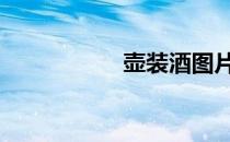 壶装酒图片 壶装蜜酒