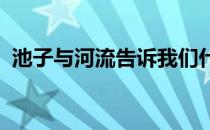 池子与河流告诉我们什么道理现实中的故事