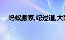 蚂蚁搬家,蛇过道,大雨不久要来到的意思