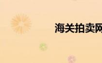 海关拍卖网站 海关网