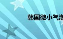 韩国微小气泡 韩国小气泡