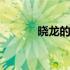 晓龙的世界大格局公众号 晓龙