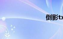 倒影txt下载