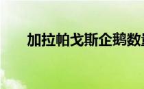 加拉帕戈斯企鹅数量 加拉帕戈斯企鹅