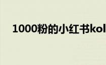 1000粉的小红书kol报价 小红书kol报价