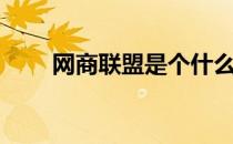 网商联盟是个什么平台（网商联盟）
