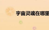 宇宙灵魂在哪里换（宇宙灵魂）