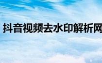 抖音视频去水印解析网站（抖音视频去水印）