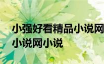 小强好看精品小说网小说下载 小强好看精品小说网小说
