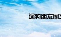 遛狗朋友圈文案（遛狗）
