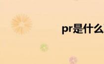 pr是什么职位 PRs
