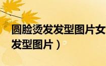 圆脸烫发发型图片女2020最新款（圆脸烫发发型图片）