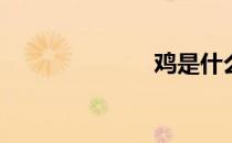 鸡是什么意思？