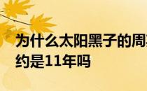 为什么太阳黑子的周期数是11 太阳黑子周期约是11年吗