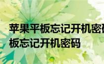 苹果平板忘记开机密码已停用怎么办? 苹果平板忘记开机密码
