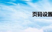 页码设置（页码）