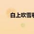 白上吹雪事件一览 白上吹雪百度百科