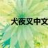 犬夜叉中文版第一部 犬夜叉中文版全集