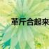 革斤合起来念什么 一个革一个斤念什么