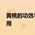 黄桃的功效与作用能减肥吗 黄桃的功效与作用
