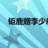 钜鹿赠李少府ppt 钜鹿赠李少府翻译译文