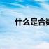 什么是合数质数偶数奇数 什么是合数