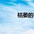 枯萎的花图片伤感（枯萎的花）