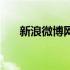 新浪微博网址是什么（新浪微博网址）