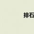 排石冲剂说明书 排石冲剂
