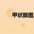 甲状腺图片高清全屏（甲状腺图片）