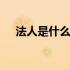 法人是什么意思通俗点 法人是什么意思