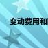 变动费用和固定费用的区别（变动费用）