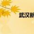 武汉新增确诊人数（wp手机）
