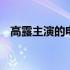 高露主演的电视剧交警 高露主演的电视剧