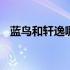 蓝鸟和轩逸哪个好一点 蓝鸟和轩逸哪个好