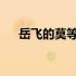 岳飞的莫等闲白了少年头空悲切的意思